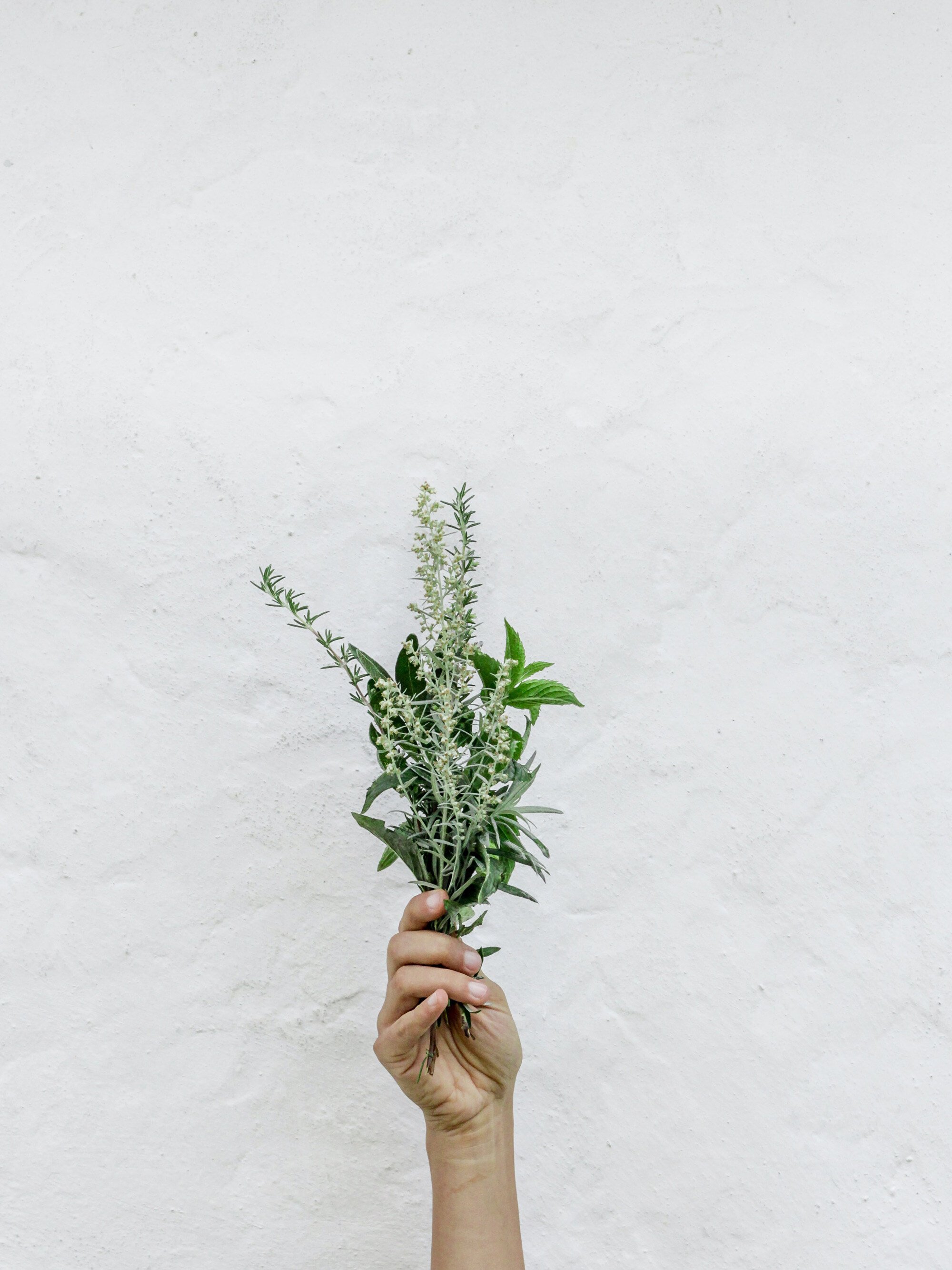 Stock placeholder image with grayscale geometrical mountain landscape